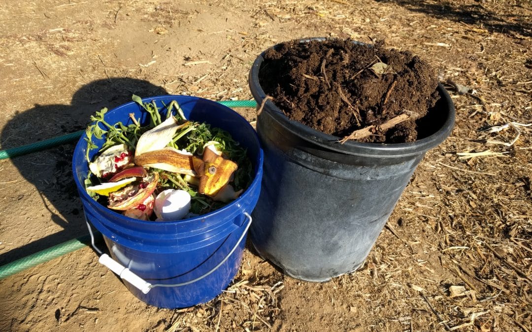 composting in an enclosed bin diy composting