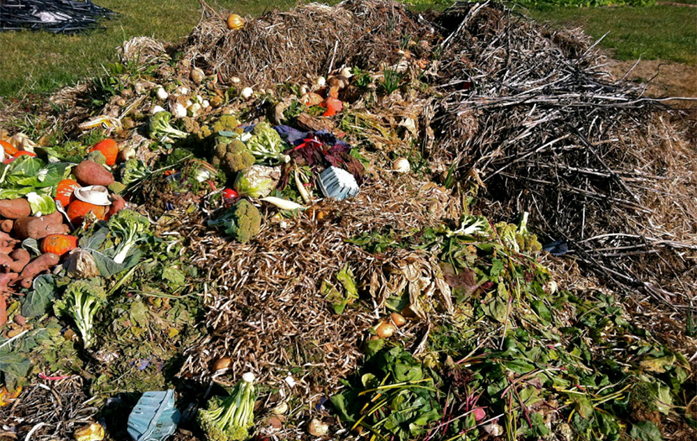 open compost pile